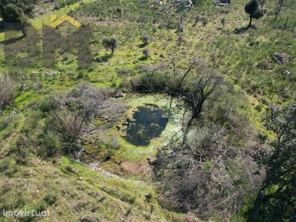 Refúgio Único em Penamacor: 7,6 Hectares de Natureza e Privacidade - Grande imagem: 3/9