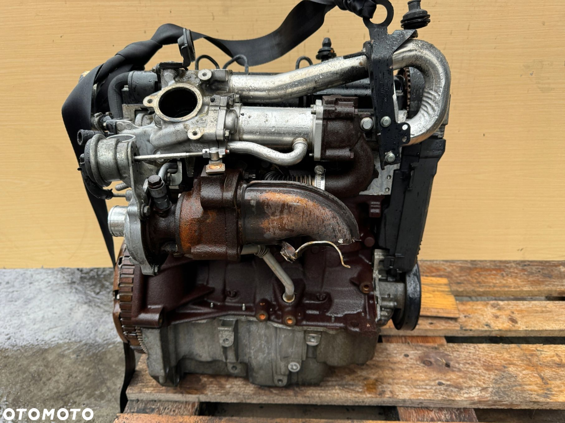 SILNIK KOMPLETNY RENAULT KANGOO CLIO NISSAN KUBISTAR 1.5 DCI K9K - 7