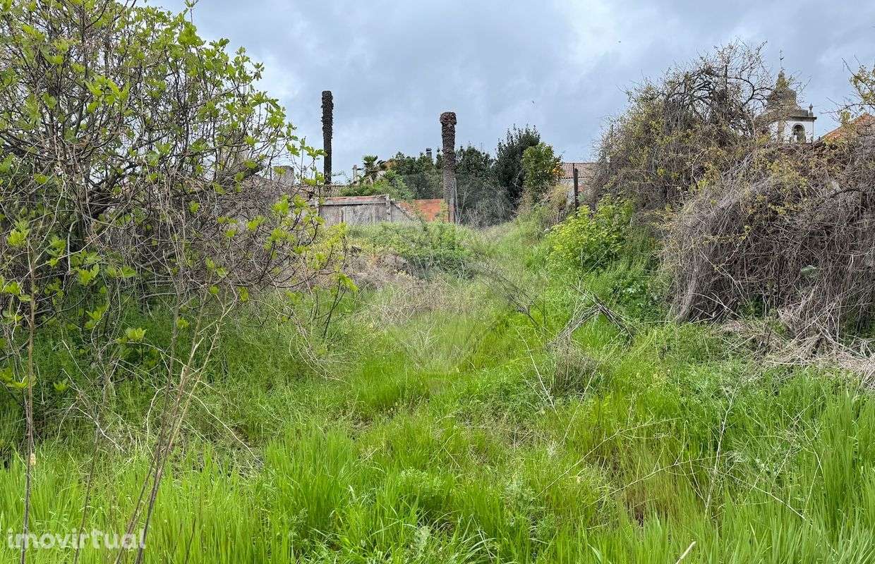 Terreno  para venda - Grande imagem: 3/11