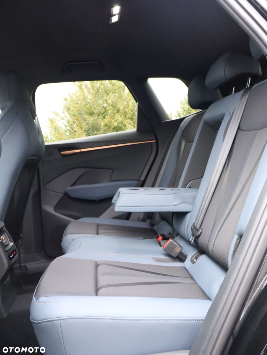 Cupra Terramar 1.5 eTSI mHEV DSG - 39