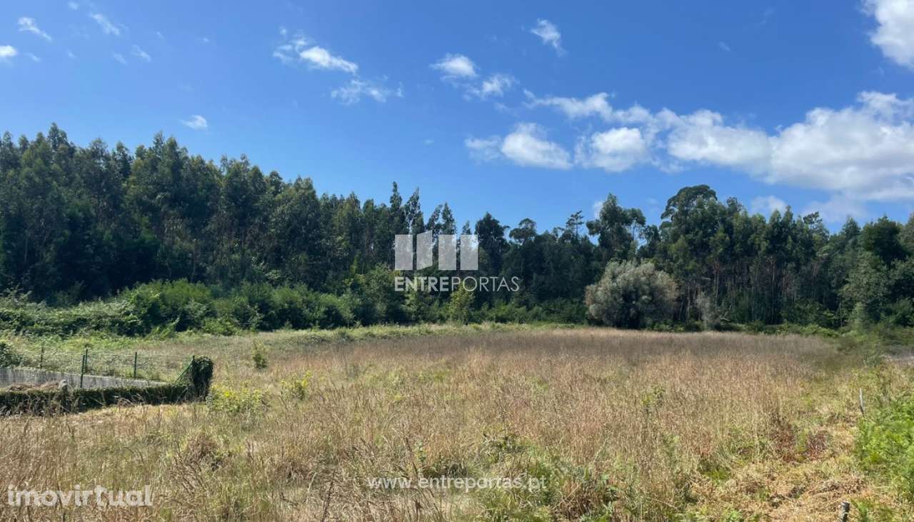 Venda de terreno com 6874m², Nogueira, Viana do Castelo - Grande imagem: 5/30