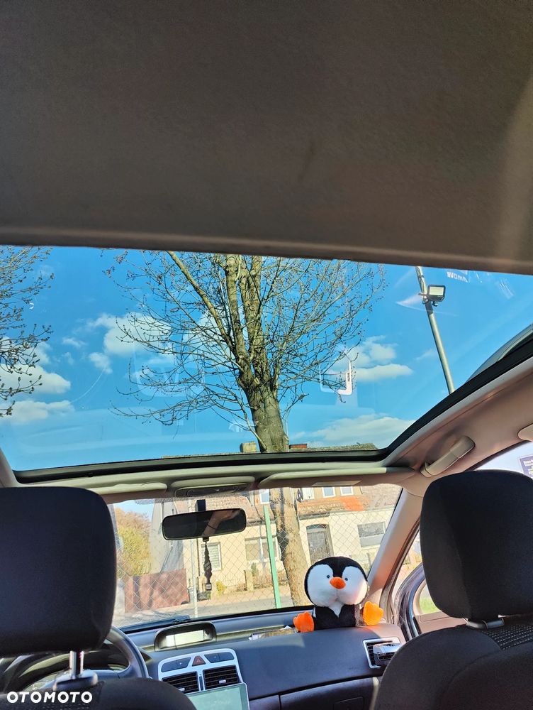 Peugeot 307 1.6 Premium - 10