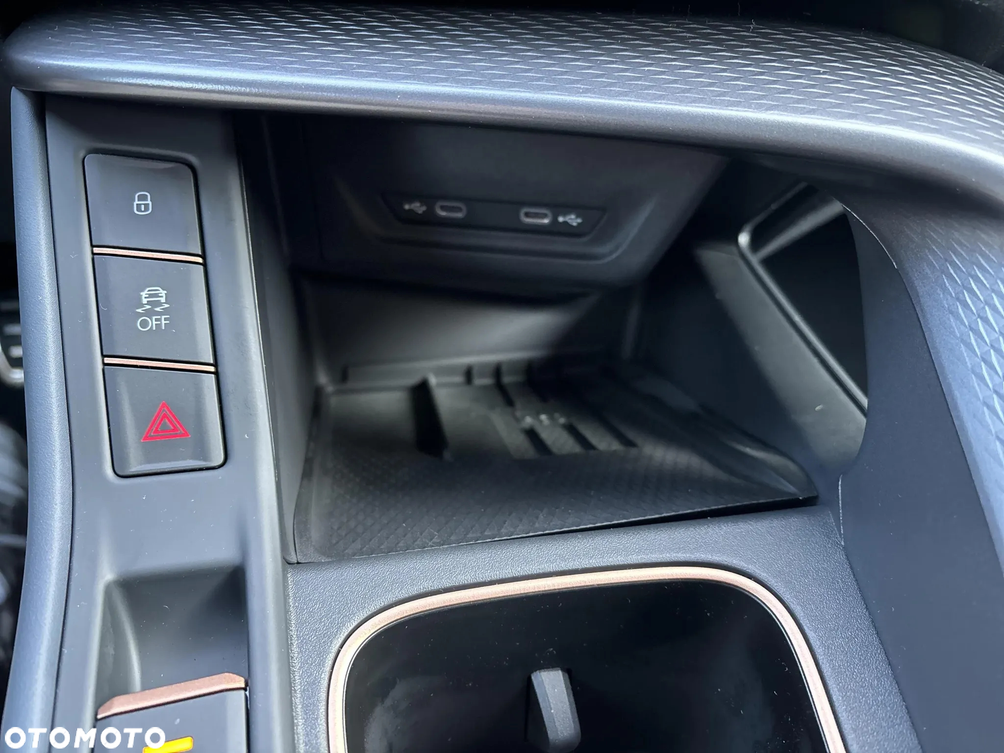 Cupra Terramar - 15