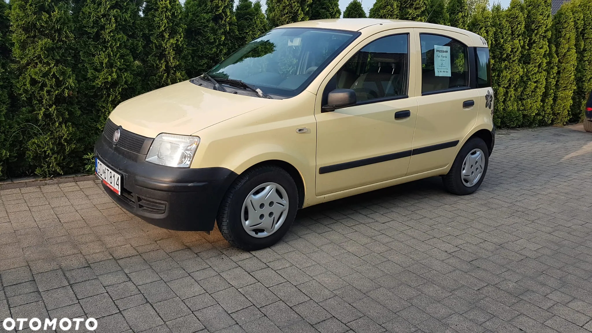 Fiat Panda 1.1 Active Eco - 2