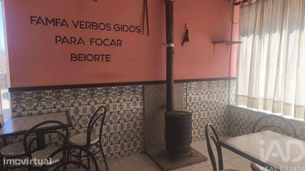 Loja / Estabelecimento Comercial em Santa Ovaia e Vila Pouca da Beira - Grande imagem: 5/22