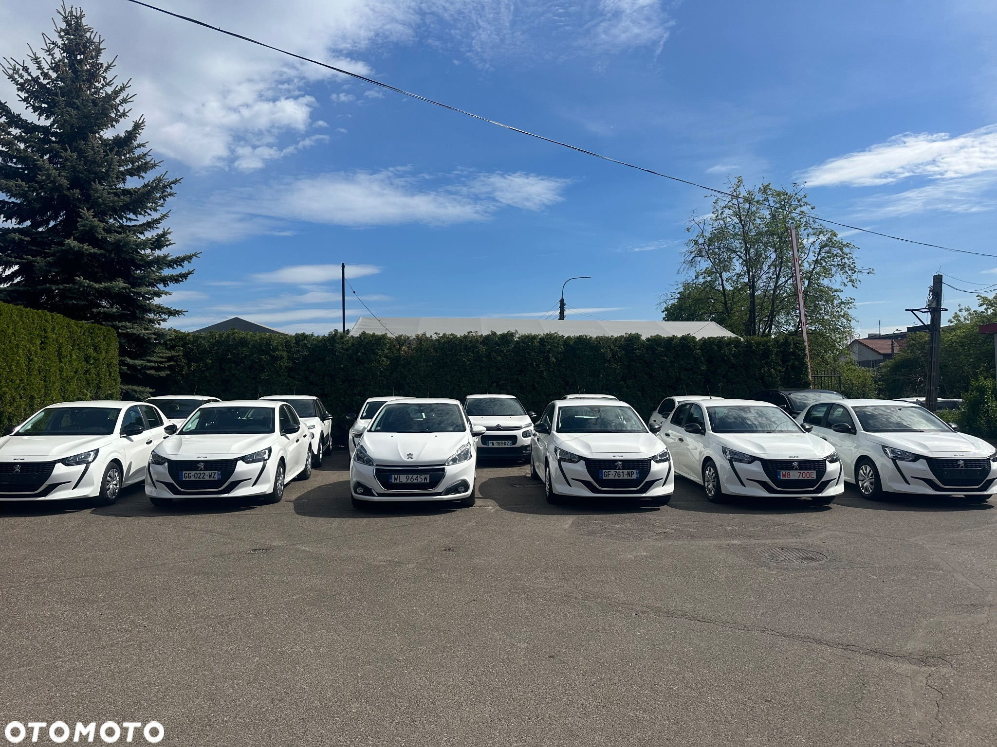 Citroën C3 1.2 PureTech Feel - 19