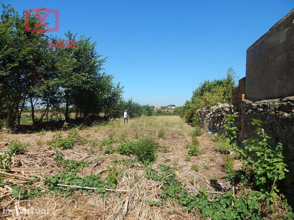 Lote de Terreno - Grande imagem: 4/11