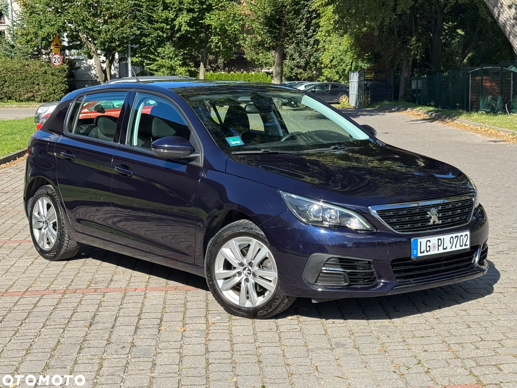 Peugeot 308 1.5 BlueHDi Active Pack Business S&S - 12