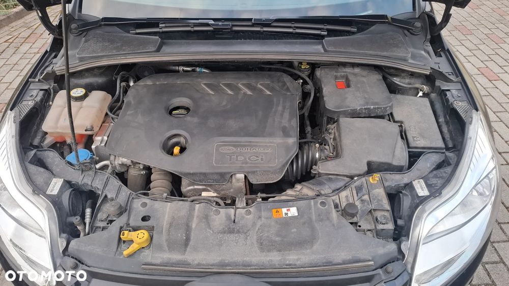 Ford Focus - 17