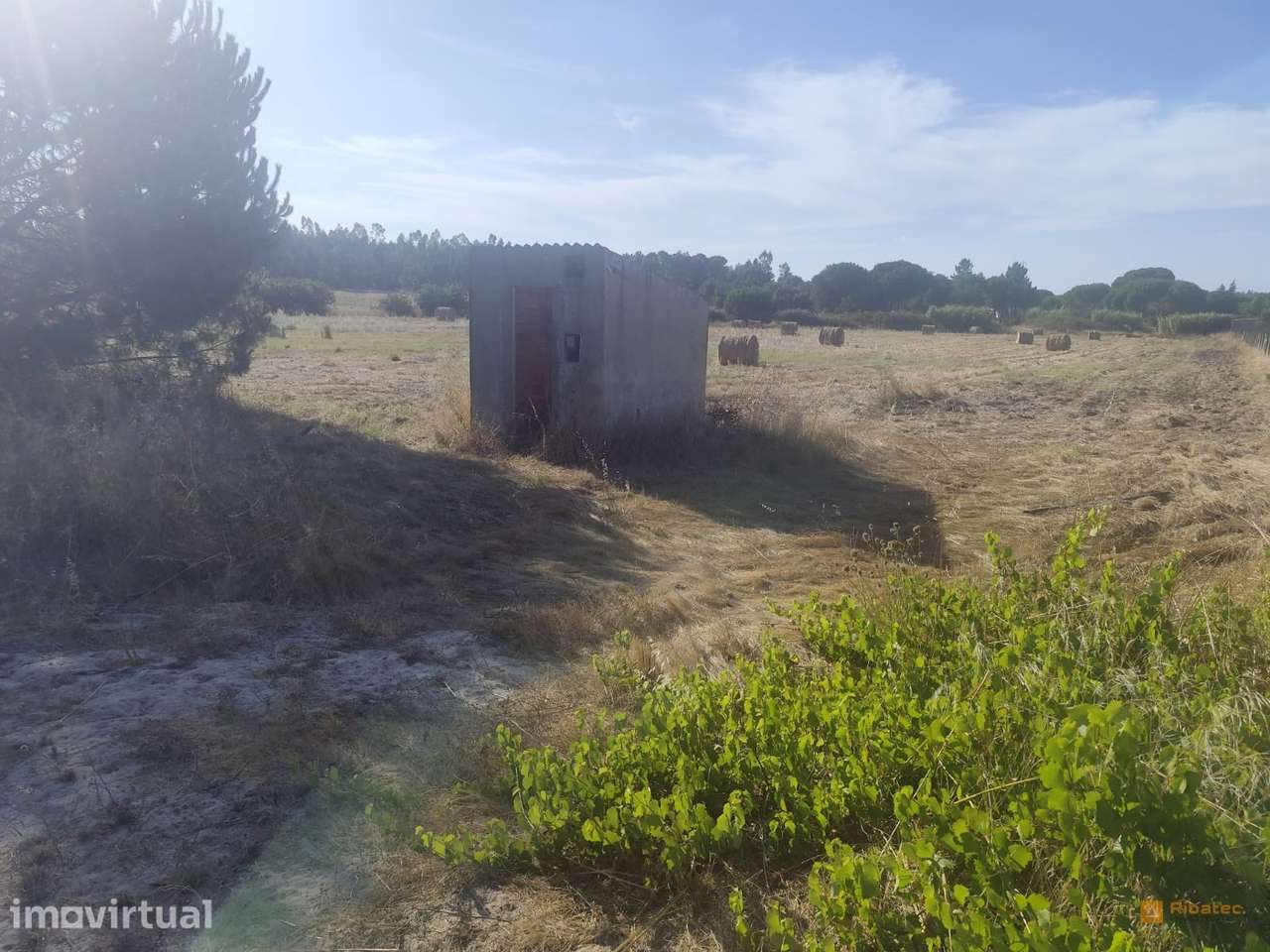 Terreno Para Construção  Venda em Branca,Coruche - Grande imagem: 4/7