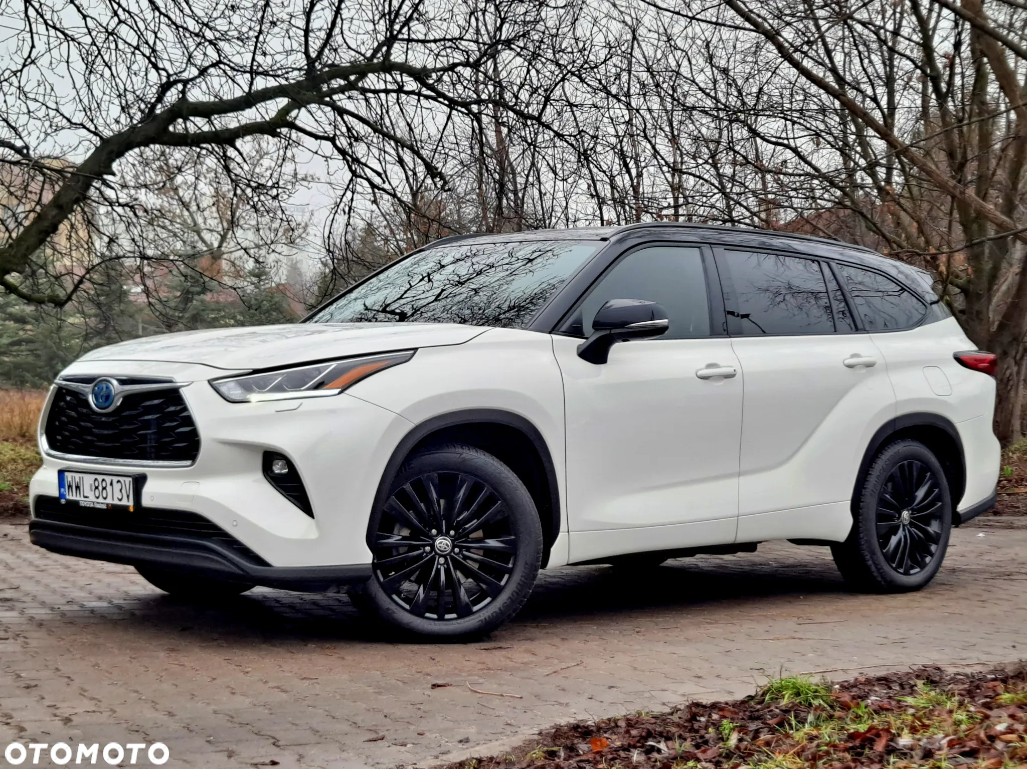 Toyota Highlander 2.5 Hybrid Executive - 34