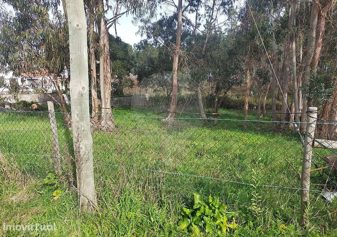 Terreno  para venda - Grande imagem: 4/6