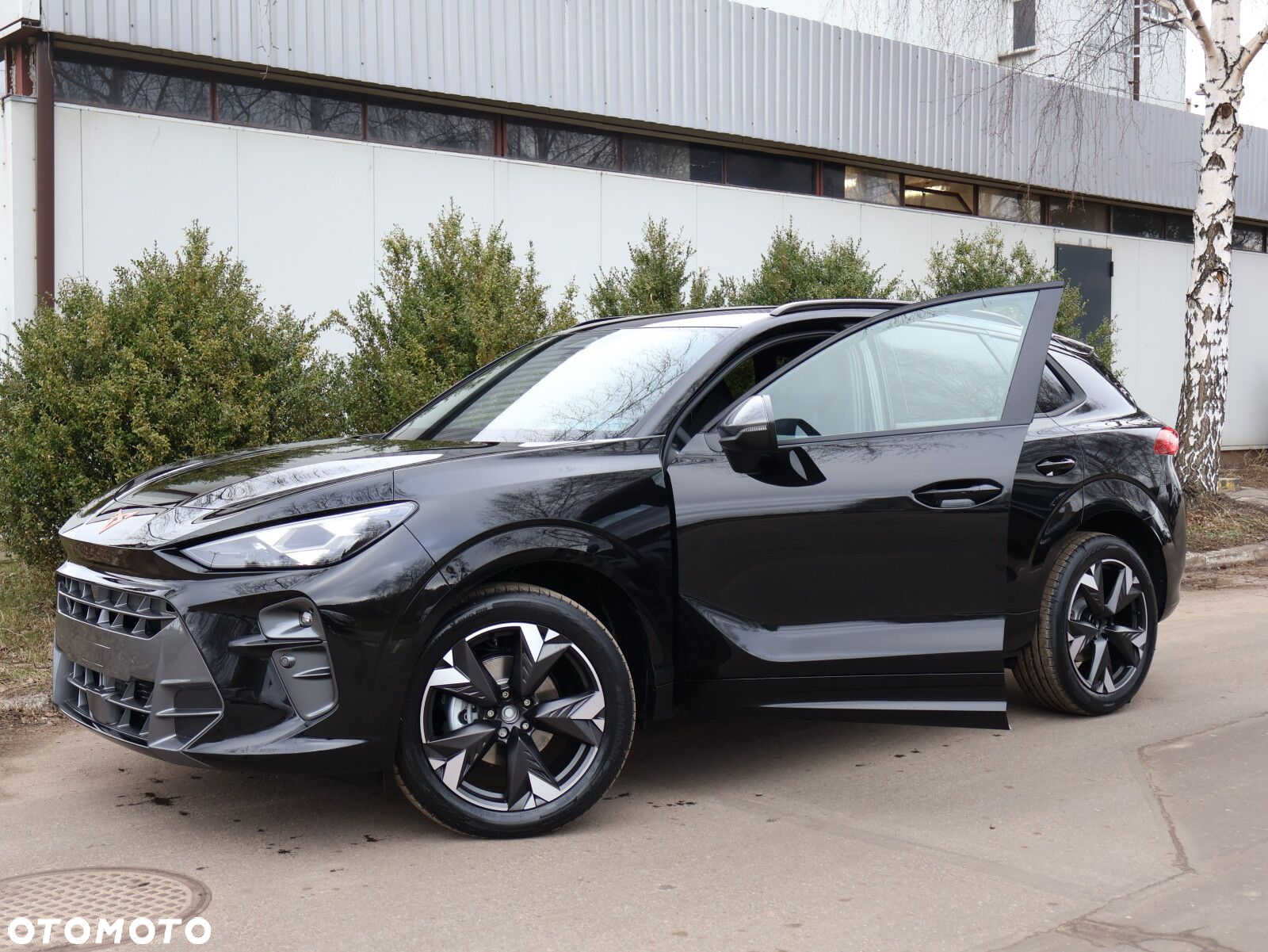 Cupra Terramar 1.5 eTSI mHEV DSG - 21