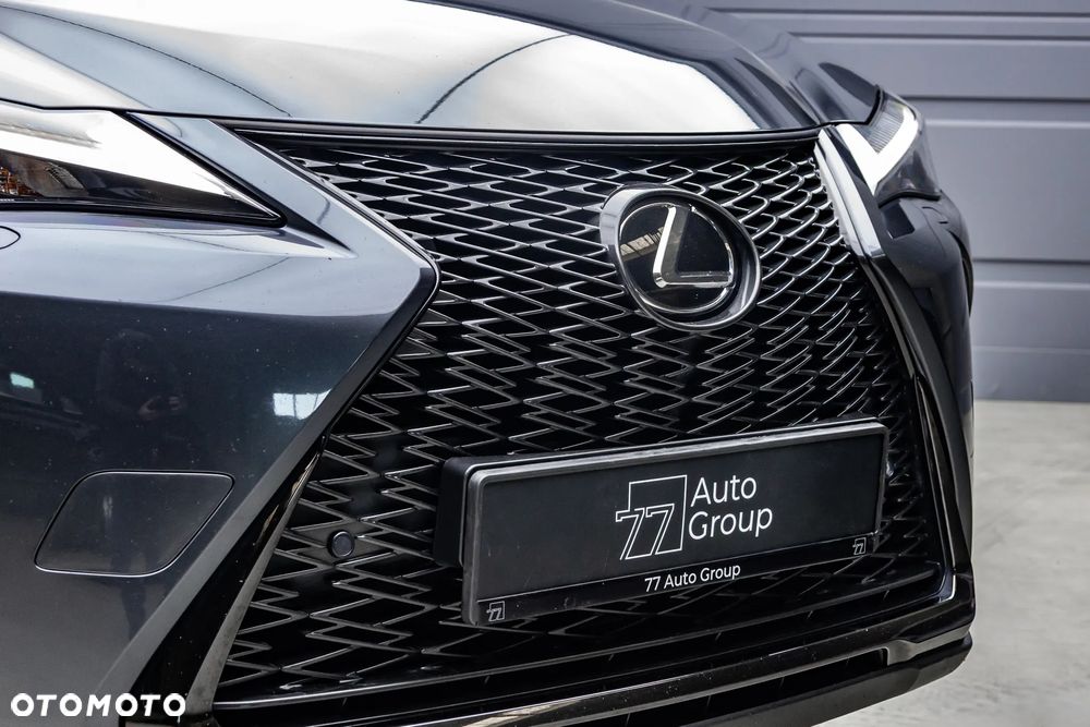 Lexus UX 250h F SPORT - 25