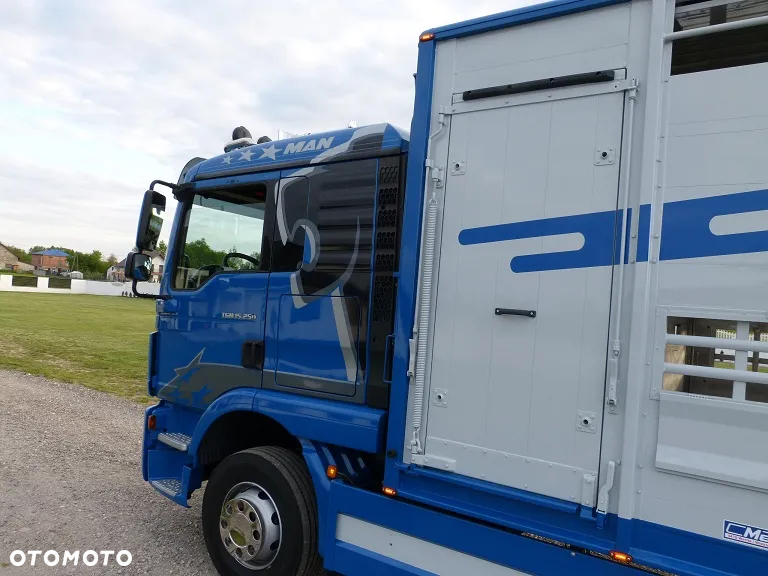 MAN TGM 15.250 DO ŻYWCA / ZWIERZĄT / BYDŁA / WAGA EL/. EURO 6 / DŁ. 5.20M /XENON - 12