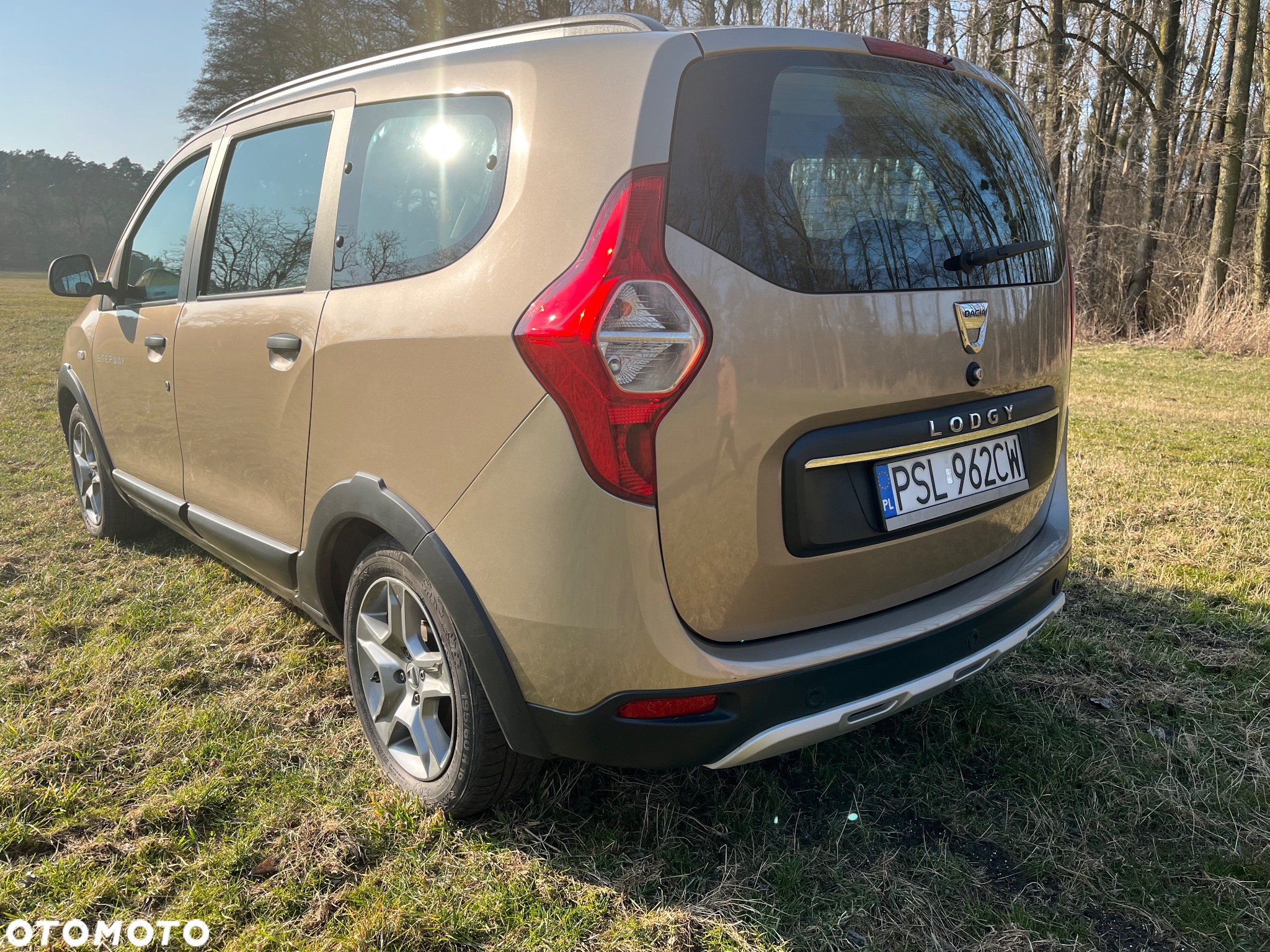 Dacia Lodgy Blue dCi 115 (7-Sitzer) Stepway Selection Blue - 7