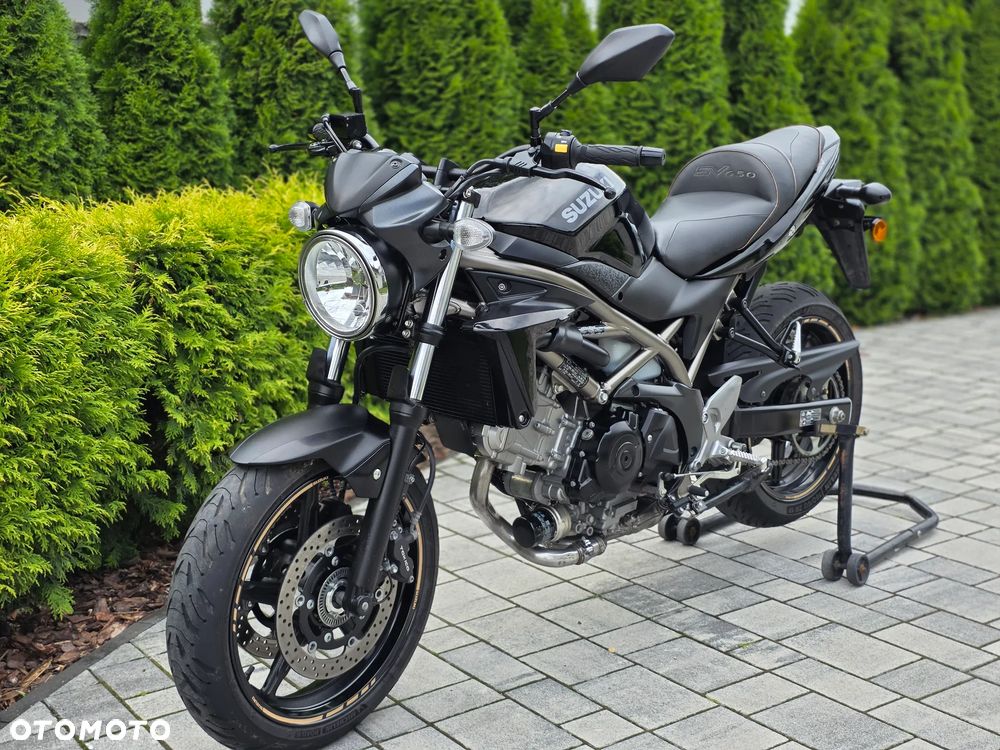 Suzuki SV - 2