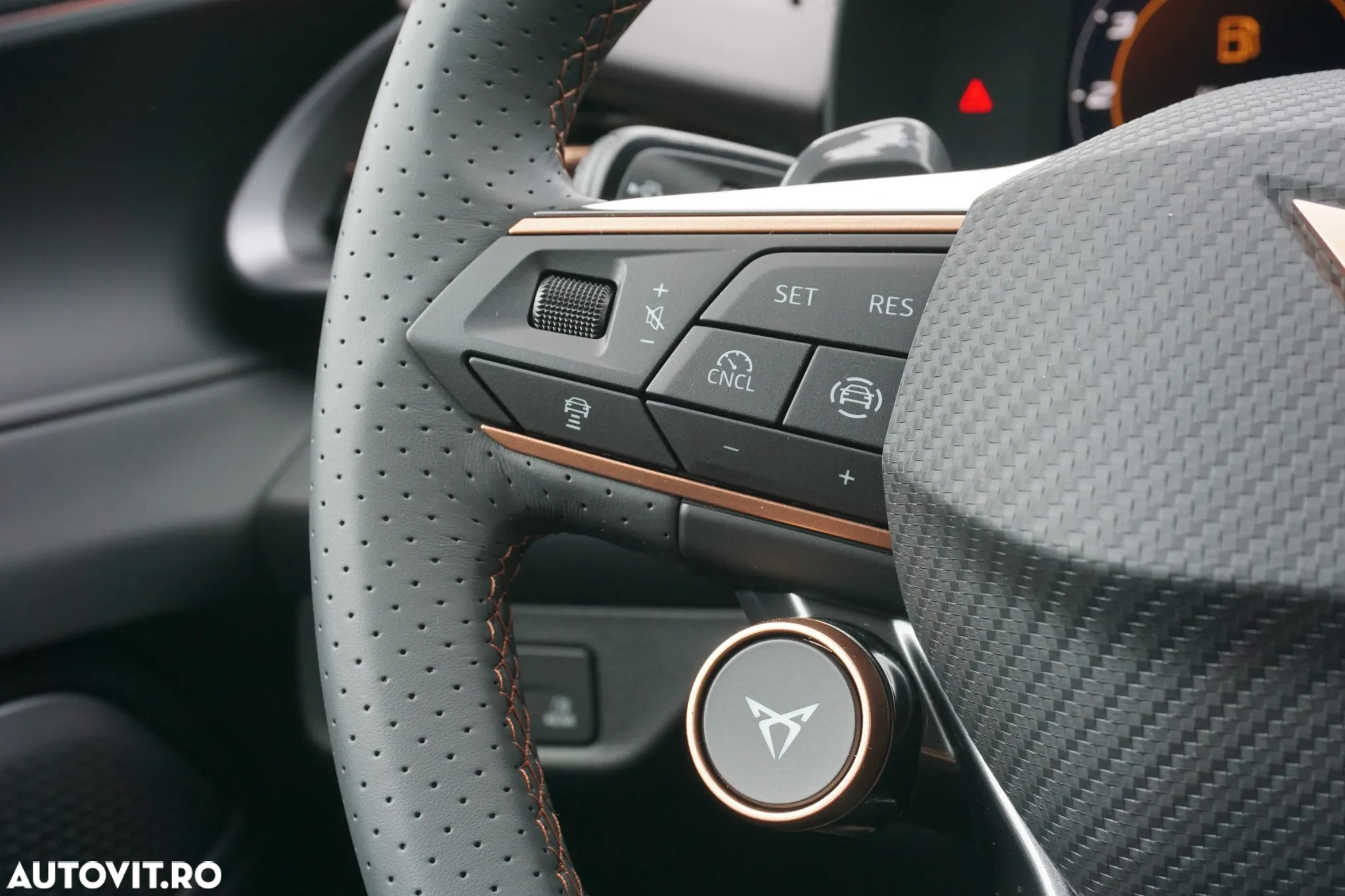Cupra Terramar - 19