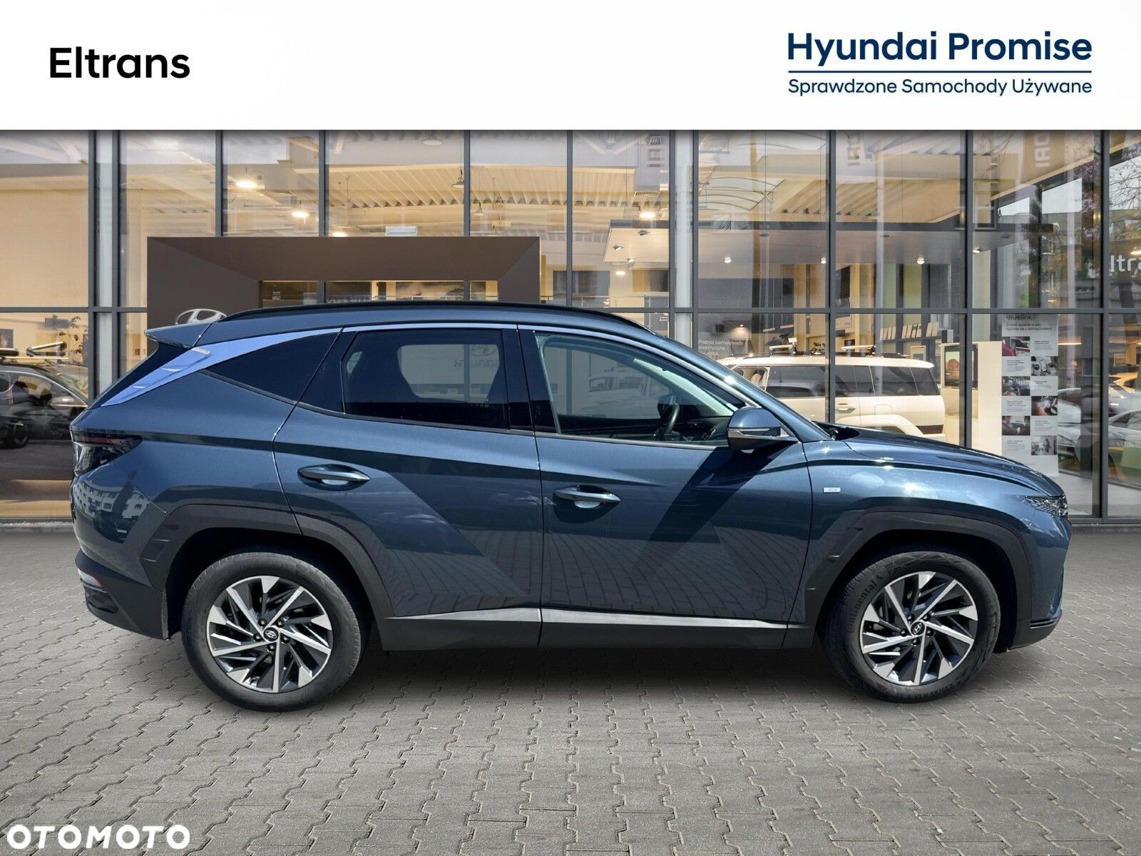 Hyundai Tucson 1.6 T-GDi 48V Executive 4WD DCT - 6