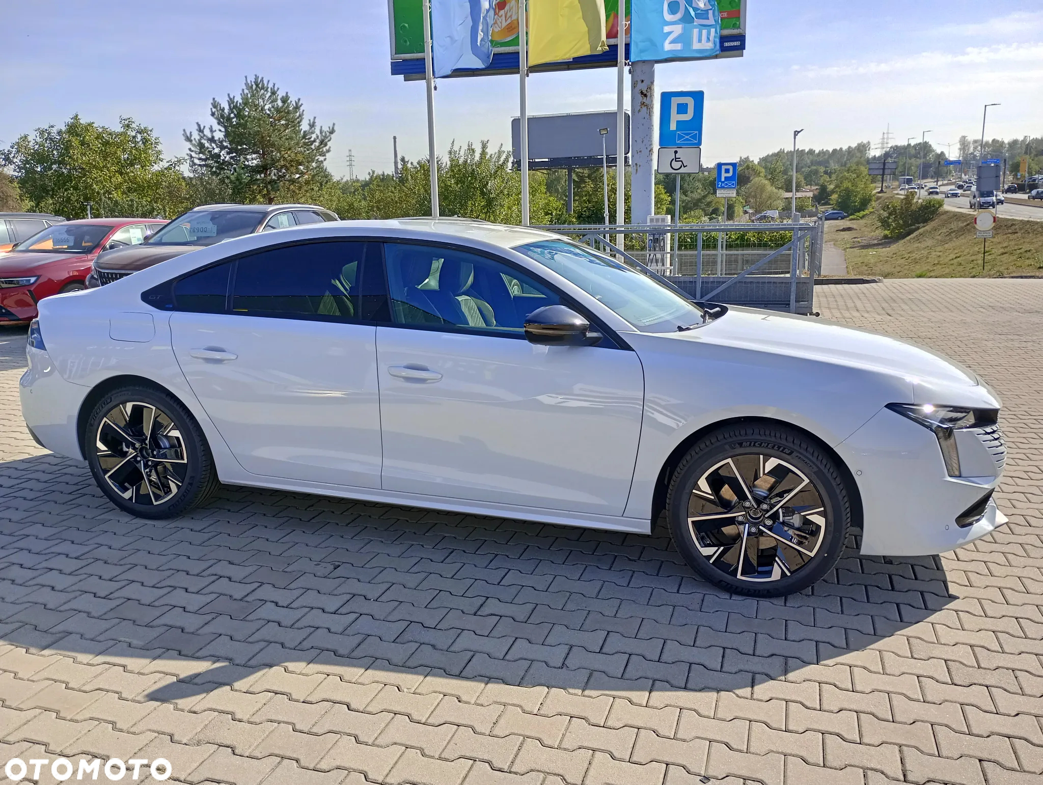 Peugeot 508 1.5 BlueHDi GT S&S EAT8 - 12