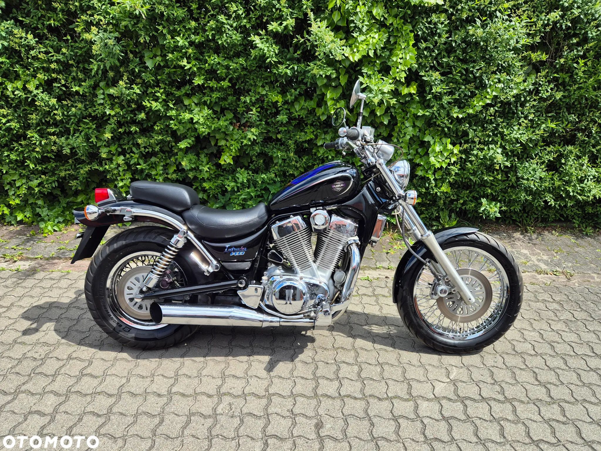 Suzuki Intruder - 1