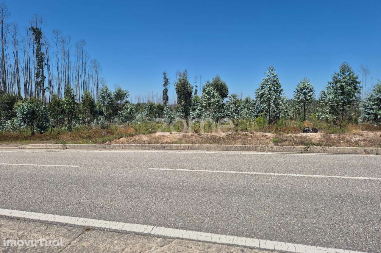 Terreno Rústico na Caranguejeira - Grande imagem: 3/22