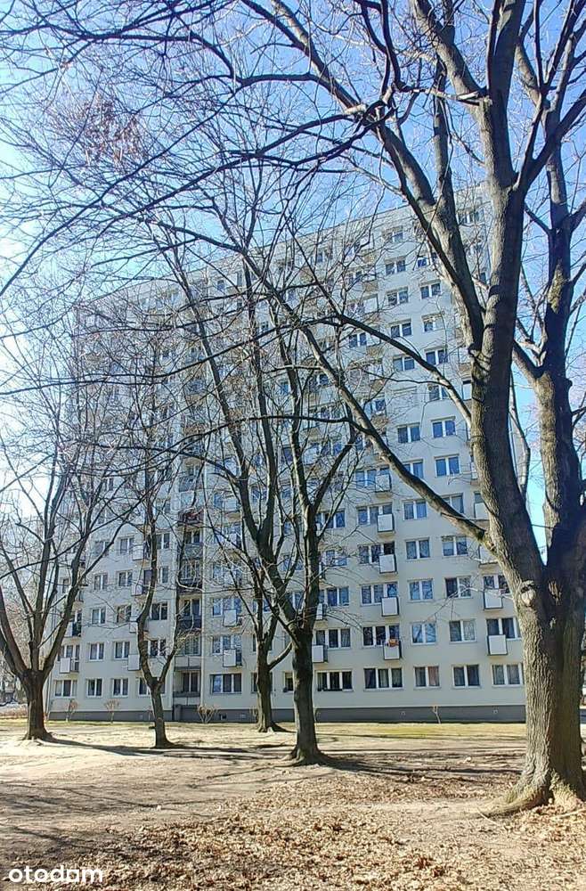 Bezpośrednio dwupokojowe na Mokotowie