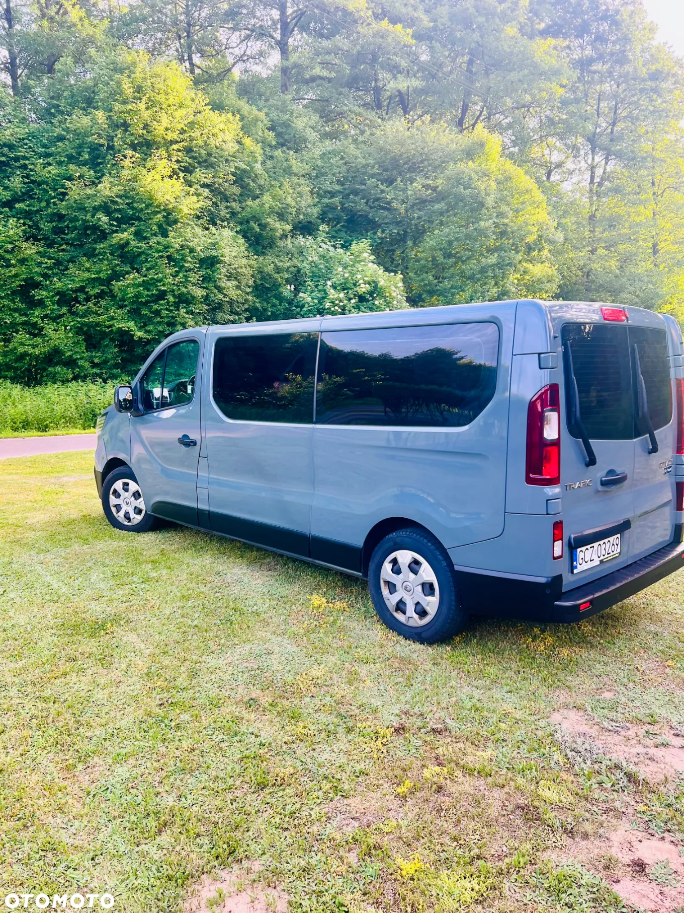 Renault Trafic 2.0 dCi L2H1 HD Extra (bryg.) - 12