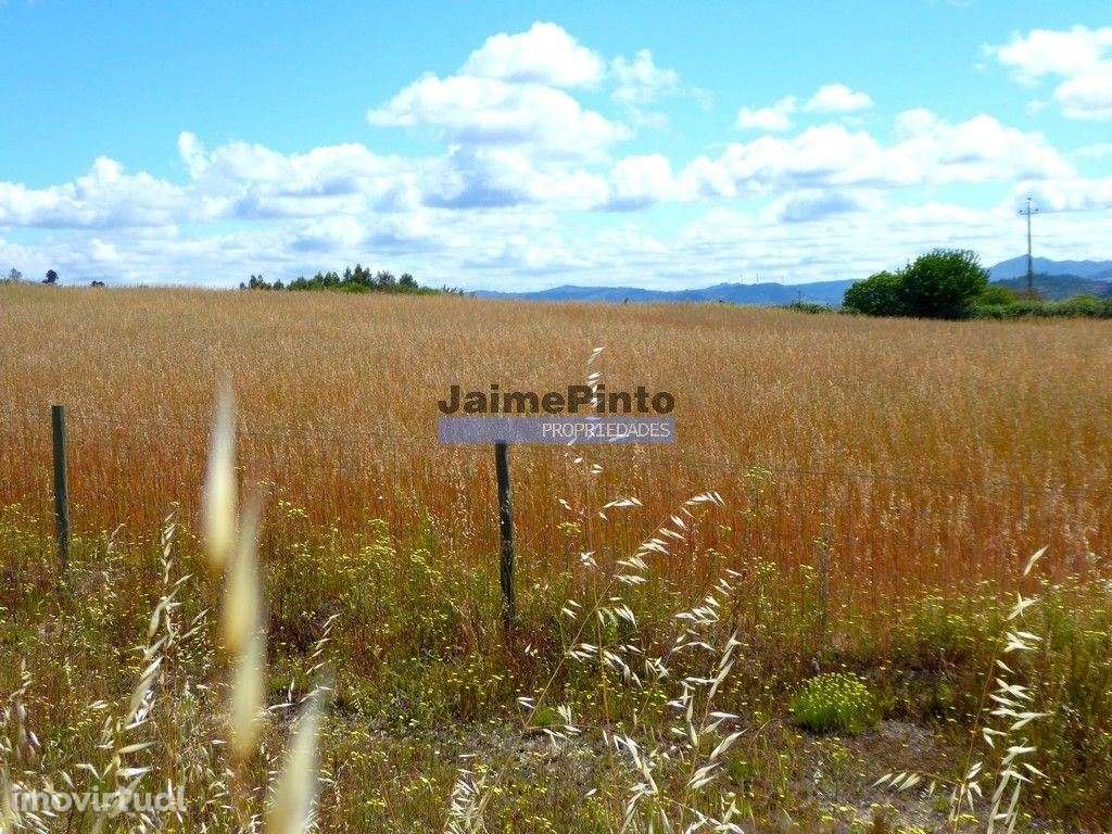 Propriedade 80,1ha de Cultivo Agrícola. Portugal, Belmonte, Castelo... - Grande imagem: 2/4