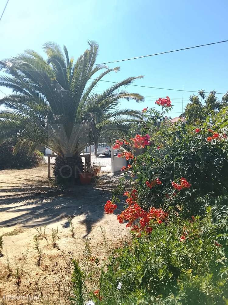 Moradia T2 com Quintal, Terraço e Churrasqueira em Vila Nova de Mil... - Grande imagem: 3/17