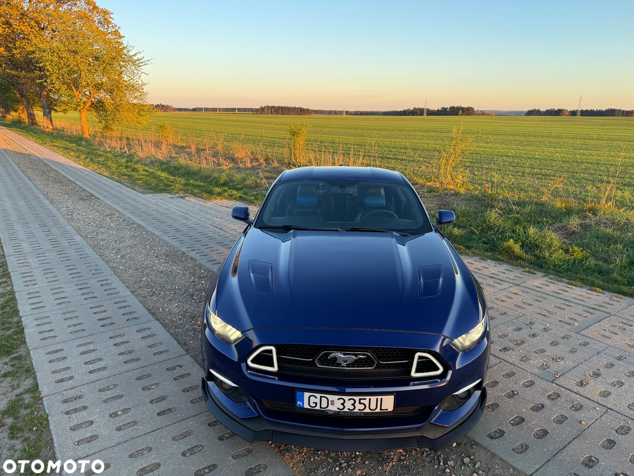 Ford Mustang 5.0 V8 GT - 7