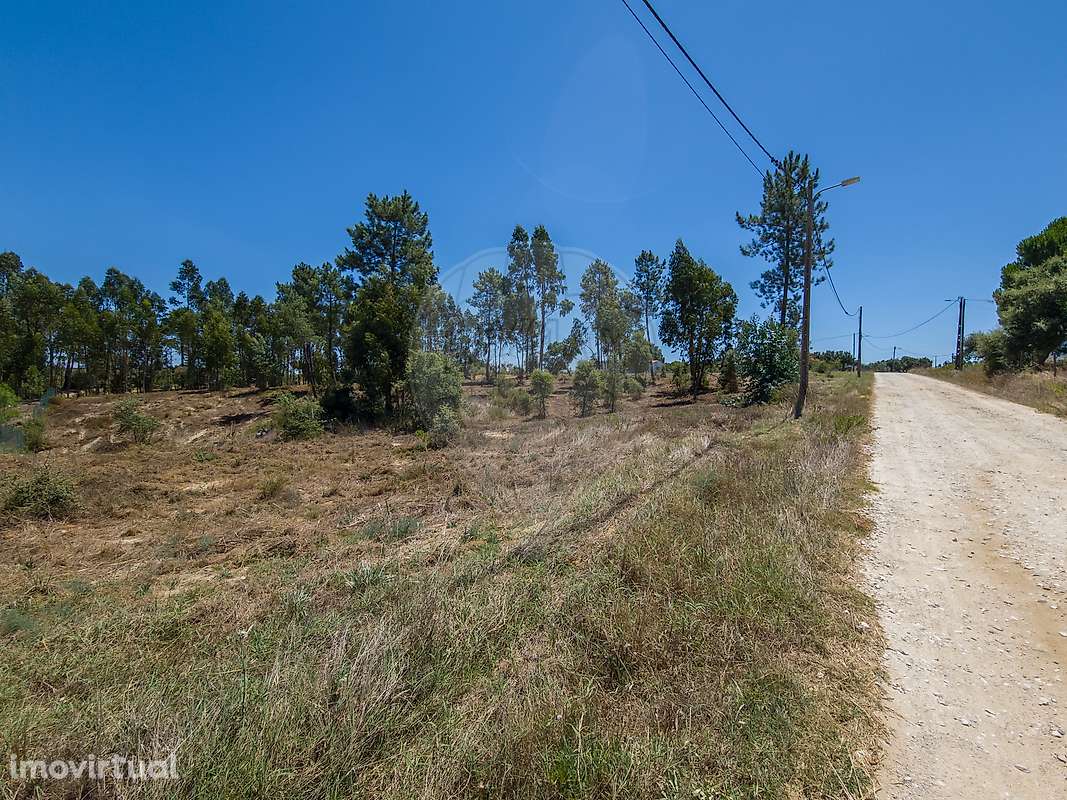 Terreno  para venda - Grande imagem: 4/4