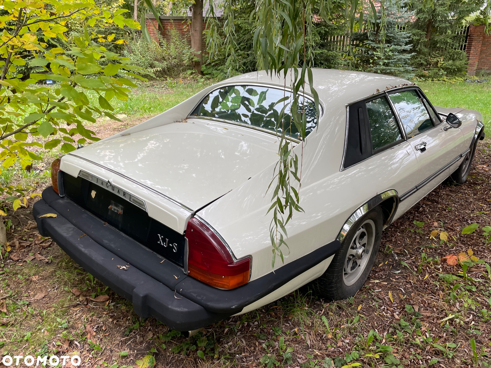Jaguar XJS - 3