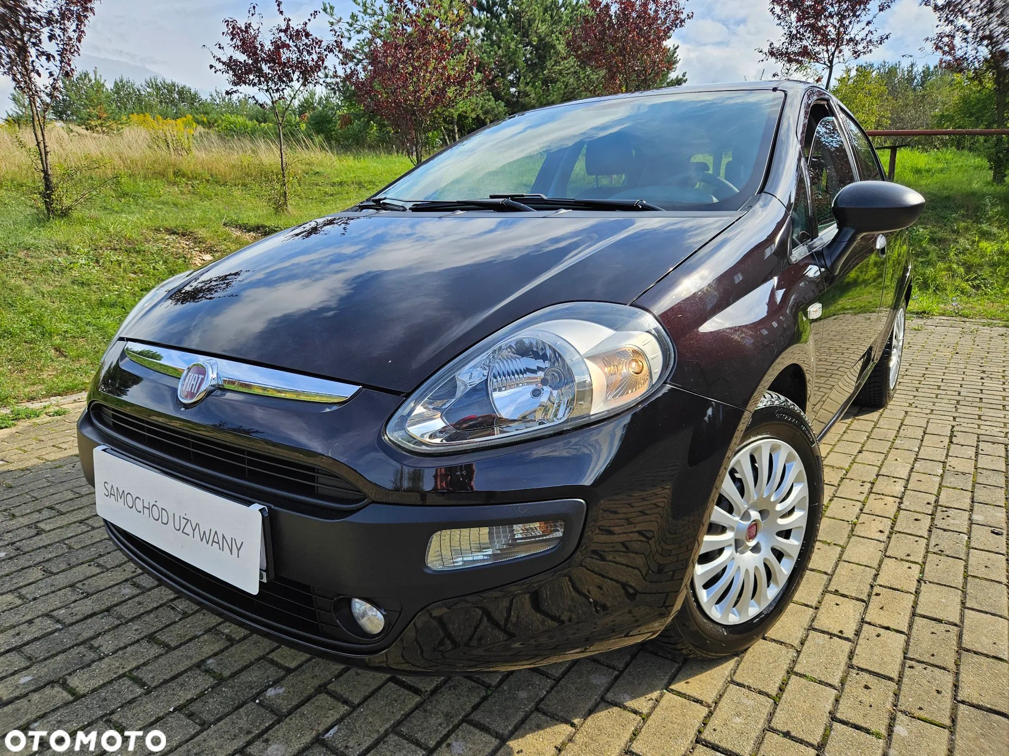 Fiat Punto 1.2 Easy - 1