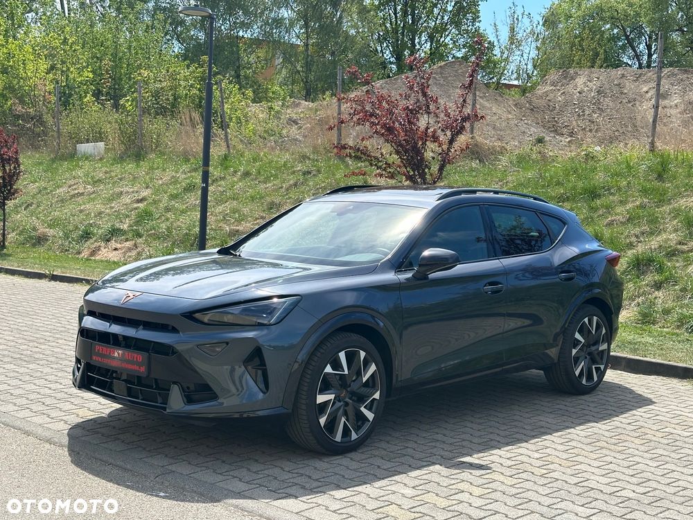 Cupra Formentor 2.0 TSI 4Drive DSG VZ - 19