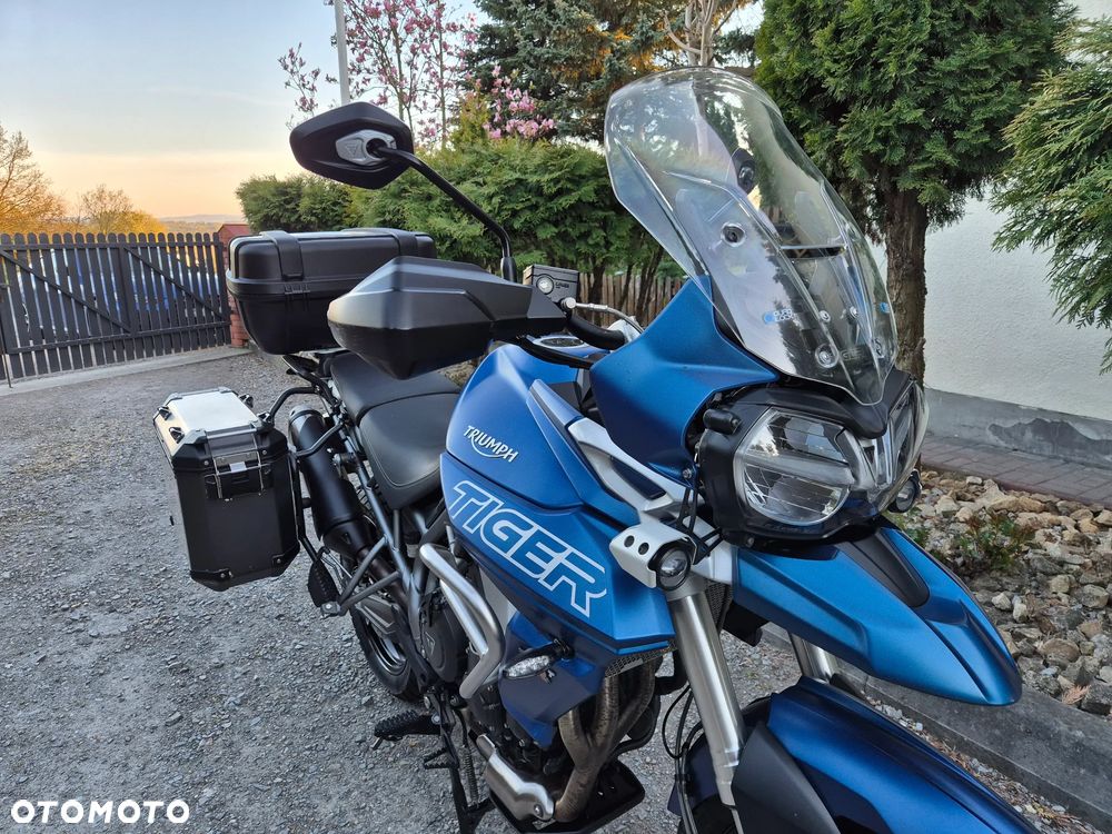Triumph Tiger - 8