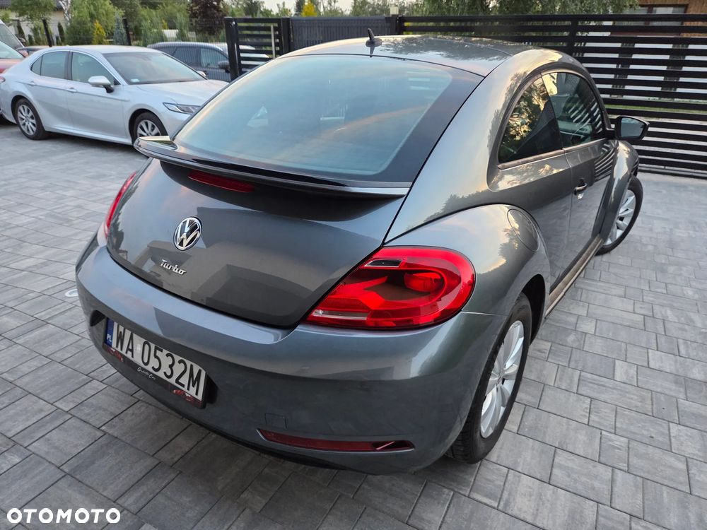 Volkswagen Beetle - 6