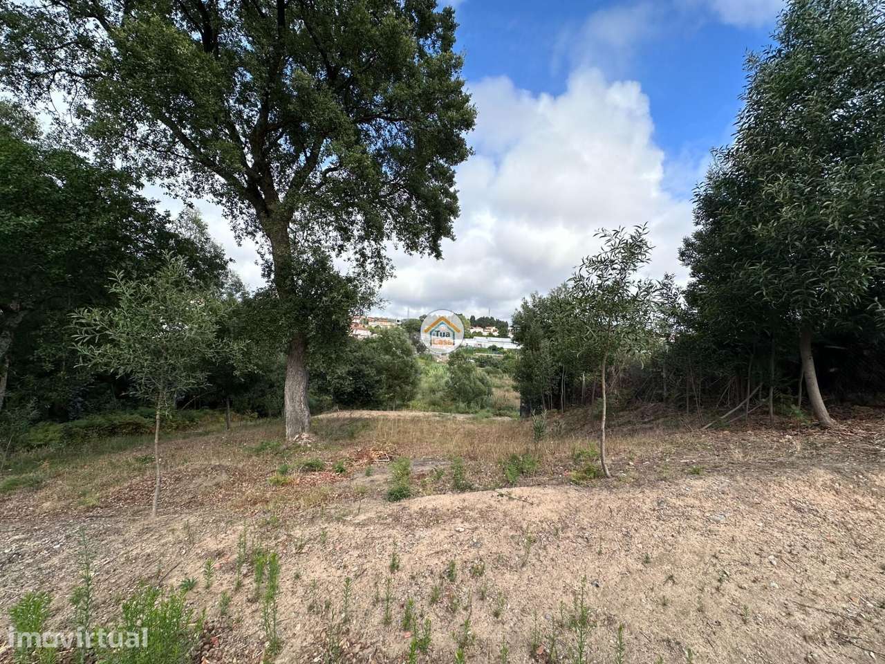 Terreno com 1.174 m2 e elevado potencial habitacional - Grande imagem: 3/12