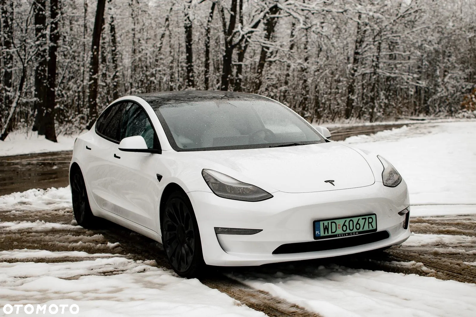 Tesla Model 3 Performance AWD - 11