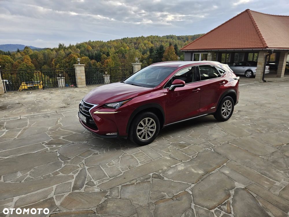 Lexus NX 300h Elegance + Business AWD - 5