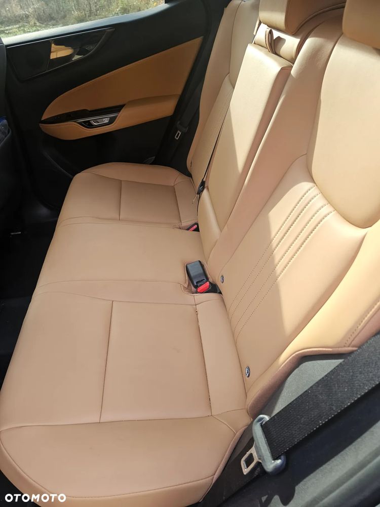 Lexus NX 450h+ Overtrail AWD - 7