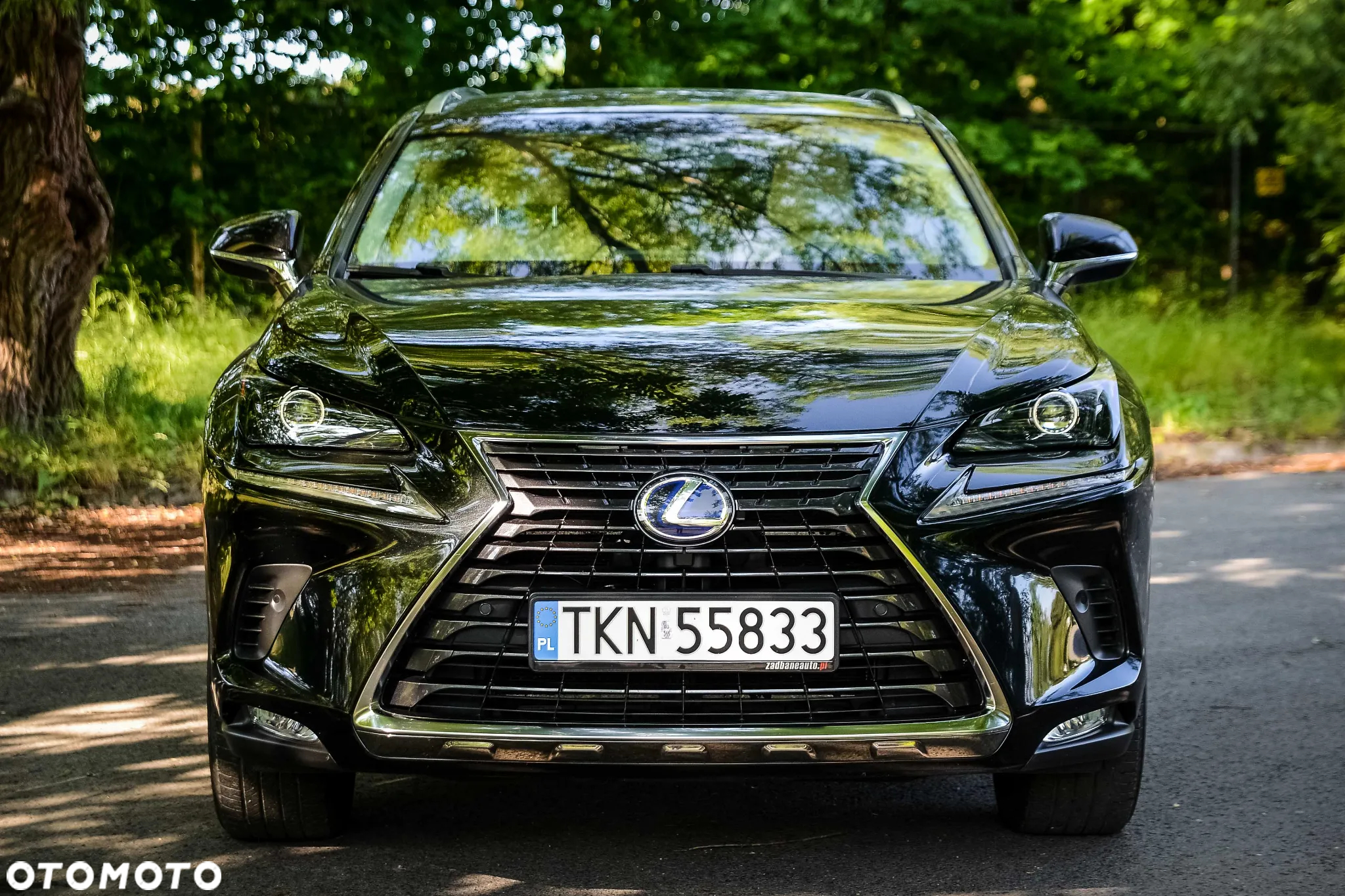 Lexus NX 300h Prestige AWD - 5