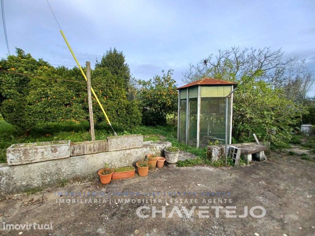 Quinta com moradia, garagem e furo a poucos minutos da Albufeira do... - Grande imagem: 5/35