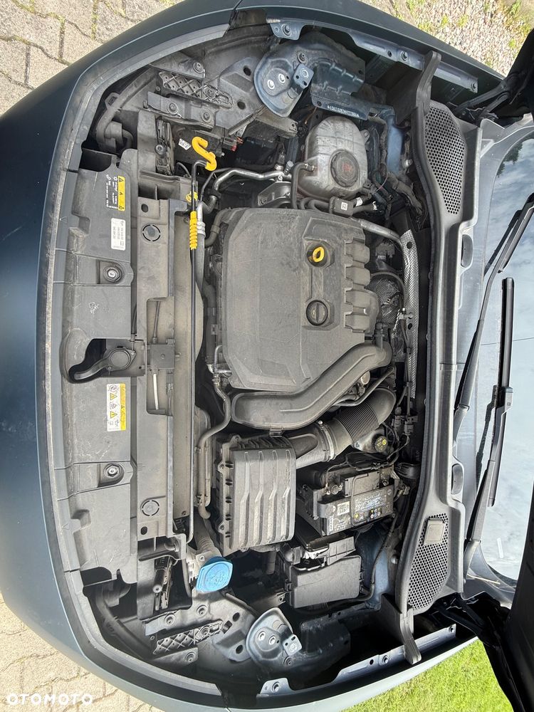 Cupra Formentor 1.5 TSI Tribe Edition - 31
