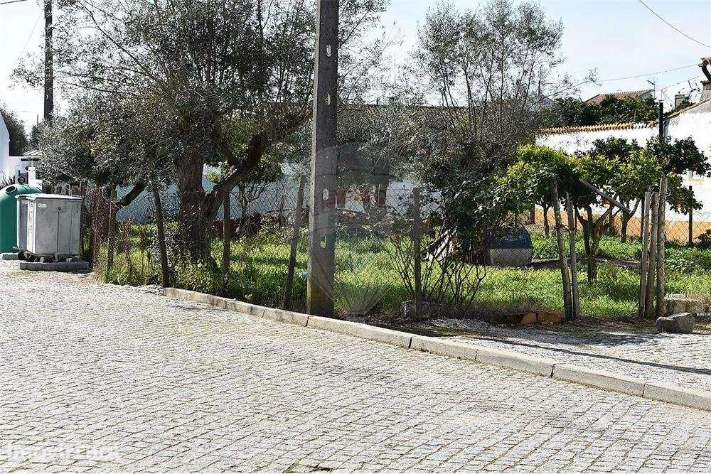 Moradia T1 com  terreno em Avis - Grande imagem: 3/11