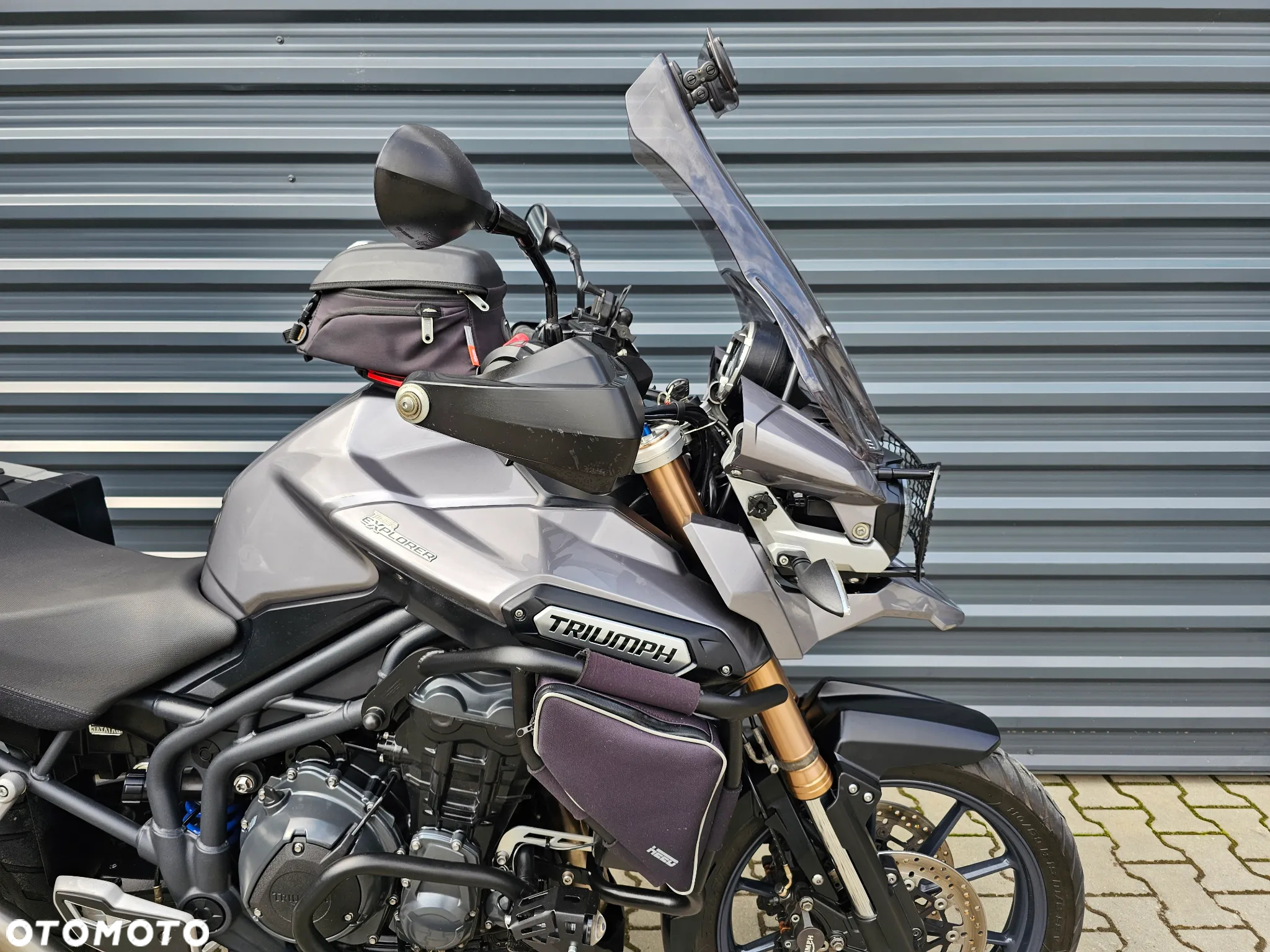 Triumph Tiger - 11