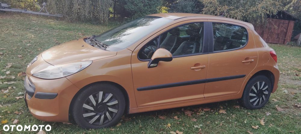 Peugeot 207 - 7