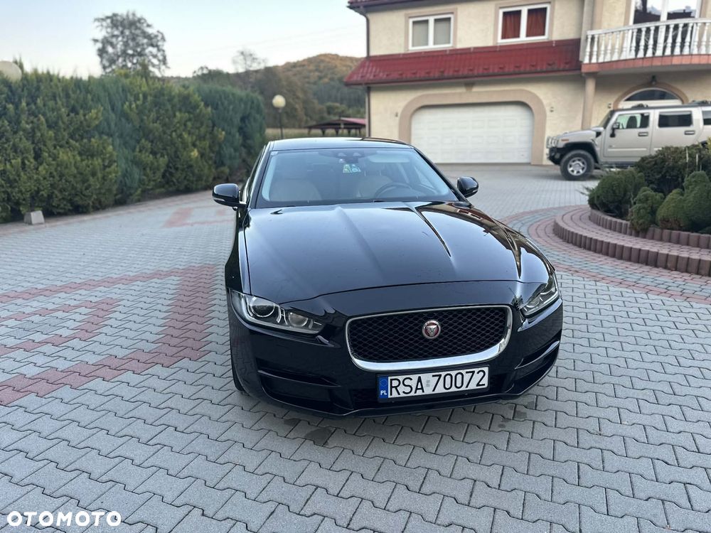 Jaguar XE E-Performance Pure - 4