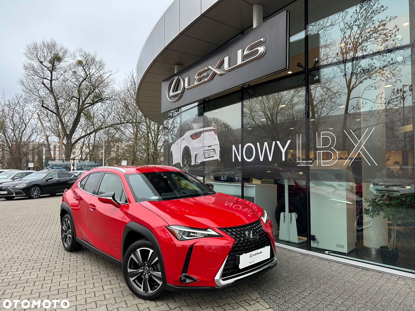 Lexus UX 200 Optimum 2WD - 10
