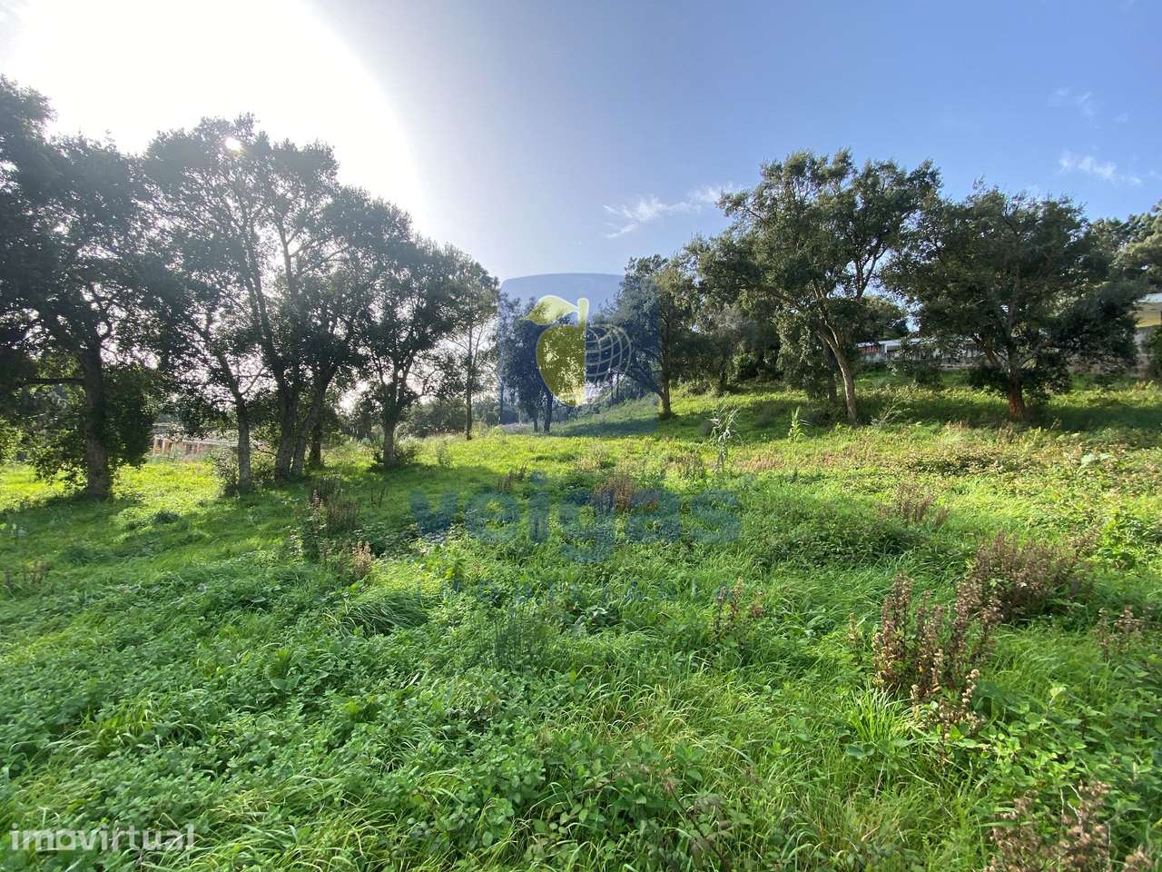 Terreno Urbano para Construção em Salir de Matos – O Local Ideal para - Grande imagem: 5/15